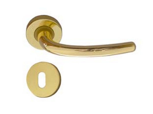 maniglia vega con rosetta in zama finitura ottone lucido cod:ferx.fer146906