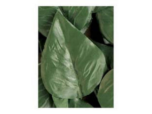 foglie lauro di ricambio per siepe artificiale - pz.20 cod:ferx.fer245524