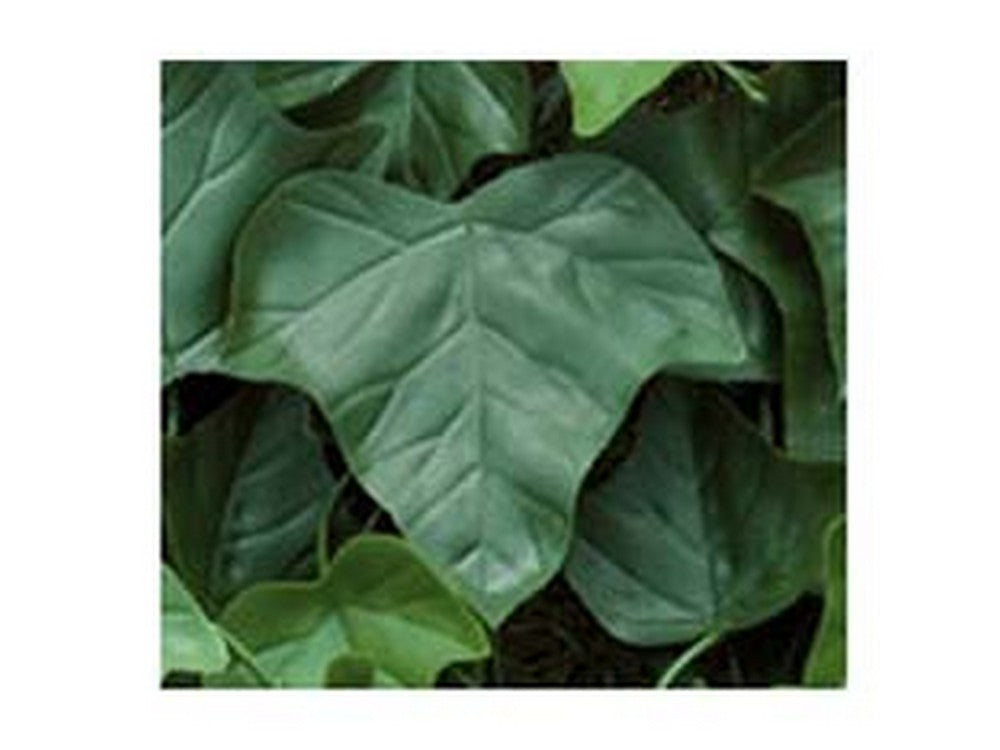 foglie edera di ricambio per siepe artificiale - pz.20 cod:ferx.fer245531