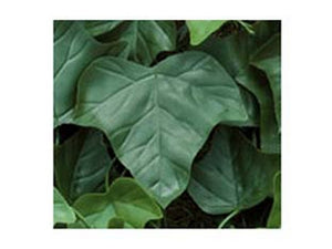 foglie edera di ricambio per siepe artificiale - pz.20 cod:ferx.fer245531