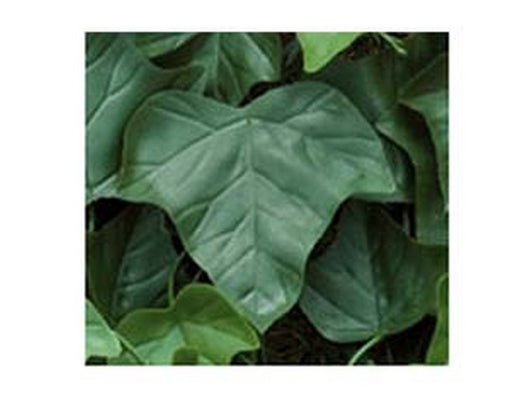 foglie edera di ricambio per siepe artificiale - pz.20 cod:ferx.fer245531