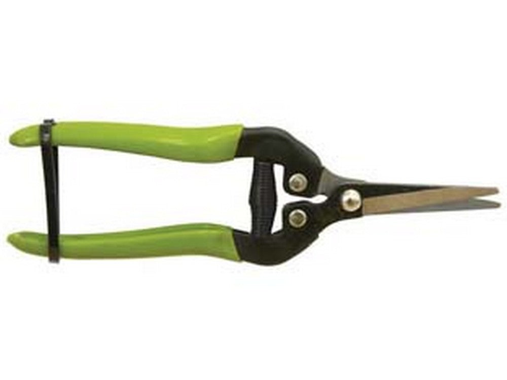 forbice raccolta - cm.19 cod:ferx.fer317412