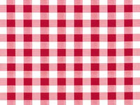 tovagliato sunny felpato quadrettato rosso - cm.140h, rotolo da mt.20 cod:ferx.fer336079