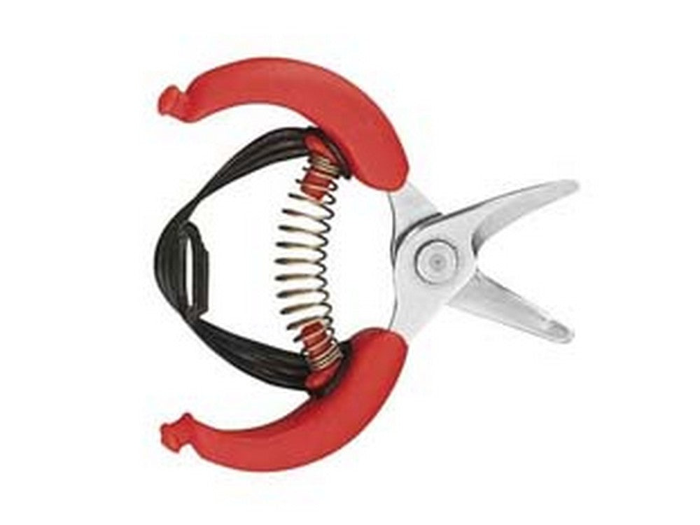 forbice raccolta agrumi 31413 - cm.10,5 cod:ferx.fer409858