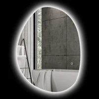 Specchio da Bagno Illuminato a LED con Colore e Temperatura Regolabile, in Vetro Temperato, 80x5x60 cm, Argento