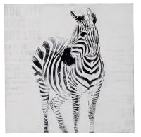 Dipinto Su Tela Zebra- B Cm 80X80
