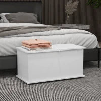 Panca Contenitore Multiuso in Legno per Camera e Ingresso, 80x40x40 cm, Bianco