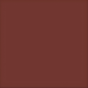 Supergum guaina elastomerica sigillante per muri e terrazze *** formato 5 kg, colore- rosso premium 2003, confezione 1