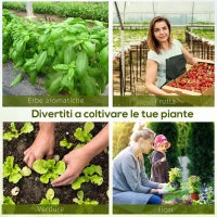Serra da Giardino con Porta Avvolgibile e 12 Finestre in Acciaio e PE, 8×3×2m, Verde