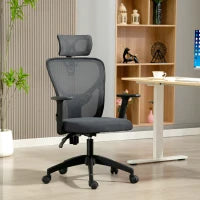 Sedia da Ufficio Ergonomica e Regolabile con Supporto Lombare e Poggiatesta, 66x61x106-116 cm, Grigio