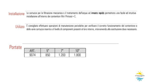 Cartuccia del Filtro Lavabile 50μ micron da 5 "