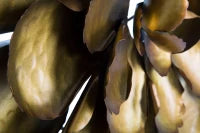 Pannello In Ferro Fiore Goldy -A- Cm Ø 64X5.5