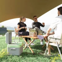 Frigo Portatile da 12 Litri con Compressore, Grigio e Verde