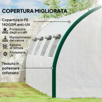 Serra a Tunnel 6x3 m con 2 Ingressi e 8 Finestre, in PE, Poliestere e Acciaio Zincato, Bianco e Verde