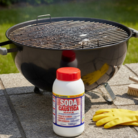 Soda caustica scaglie 1 kg per pulizie e svernicianti