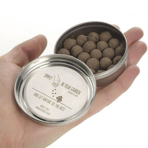 Oxeye Daisy - mix di Margherite, confezione in alluminio