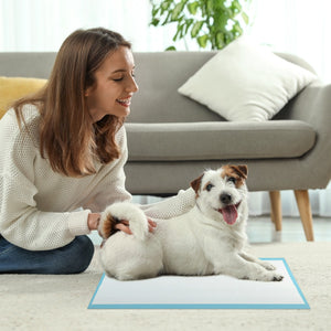 Tappetini per animali domestici a 6 strati a prova di perdite-Asciugatura rapida tappetini da interno ed esterno 60 x 43 cm Blu