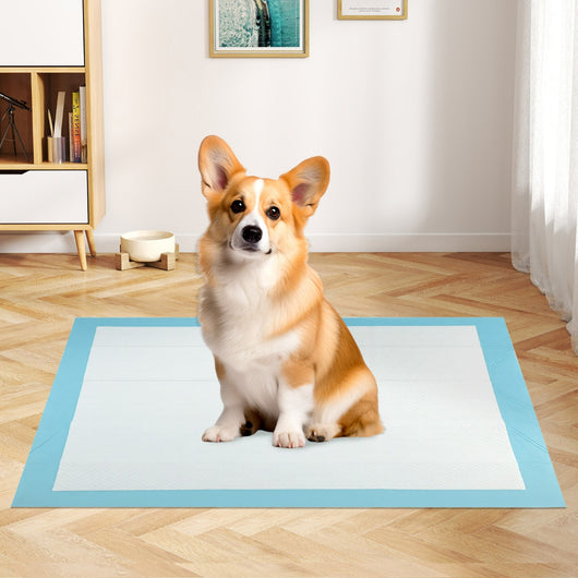 Tappetini per animali domestici a 6 strati a prova di perdite-Asciugatura rapida tappetini da interno ed esterno 90 x 60 cm Blu