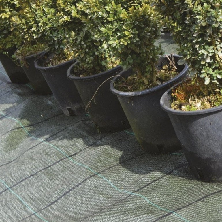 Pacciamatura 1x10 metri