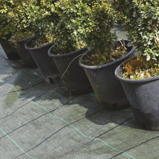 Pacciamatura 1x10 metri