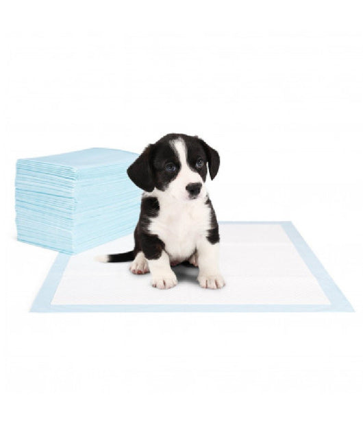 Pack 40 Traversine Cani 60 X 40 Cm Nobleza Tappeto Assorbente Puppy Pads         