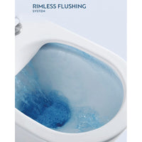 NATALIA Confezione WC da Banco Senza Rima Verticale 66,5x35,5x77 cm con Sedile WC