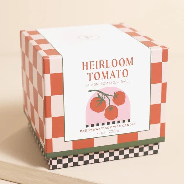 Candela Adopo Tomato Vine In Ceramica - Heirloom Tomato - Confezionato in Scatola