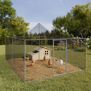 IDMarket - Pajarera de 12m² con techo de malla de 3x4M para animales de traspatio