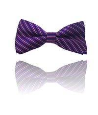 Papillon Strisce Fucsia Blu Righe Cravattino Farfallino Cravatta Frack Papion         