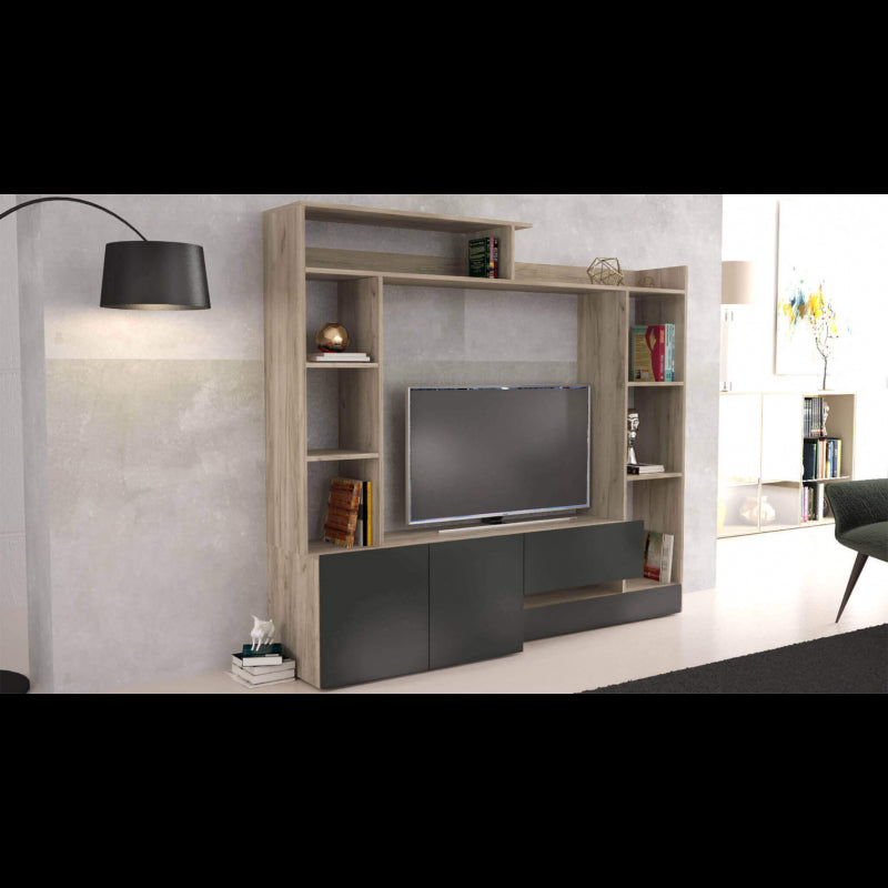 PARETE SOGGIORNO ENTRY ANTRACITE E OLMO