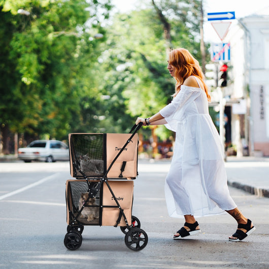 Passeggino a doppio livello multifunzionale per animali, Carrozzina pieghevole smontabile con 4 ruote Beige-Giochi e accessori per cani