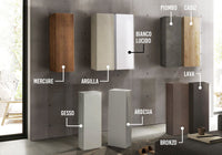 Pensile verticale L.29 cm stretto ad un'anta, finitura Bianco lucido, Made in Italy, ZLCINFNPENEW132