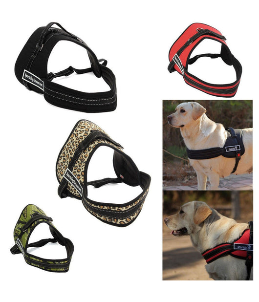 Pettorina Cinghia Cani Cane Bardatura Cintura Imbragatura Addestramento     S    