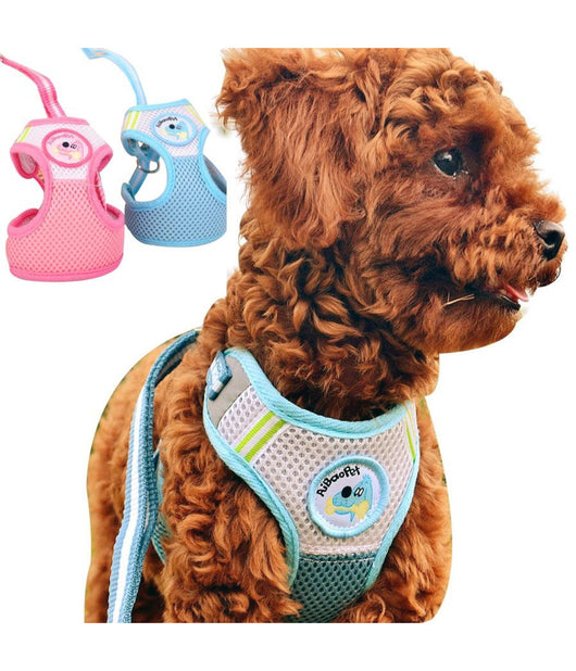 Pettorina Con Guinzaglio Regolabile Per Cane Taglia Piccola Con Disegni Colori         