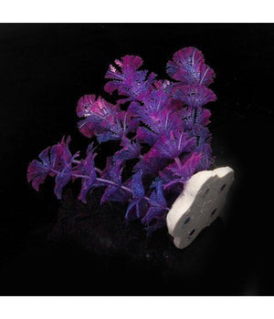Pianta 11 Cm Piantina Artificiale Per Acquario Piante Finte Plastica Viola         