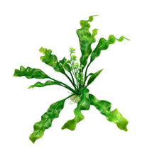 Pianta 20 Cm Piantina Artificiale Per Acquario Piante Finte Plastica Col. Verde         