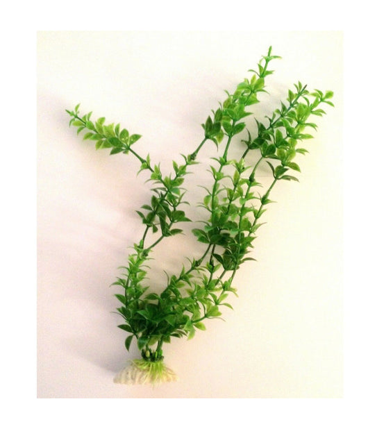 Pianta 26 Cm Piantina Artificiale Per Acquario Piante Finte Plastica Color Verde         