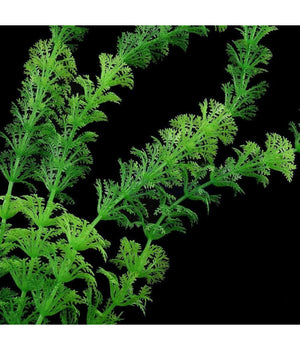 Pianta 30 Cm Piantina Artificiale Per Acquario Piante Finte Plastica Color Verde         