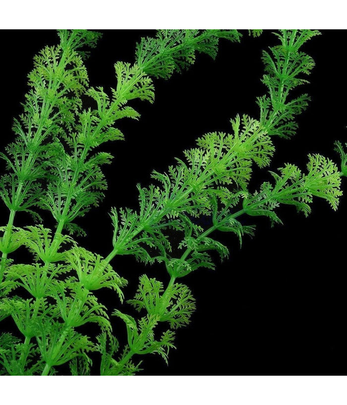 Pianta 30 Cm Piantina Artificiale Per Acquario Piante Finte Plastica Color Verde         