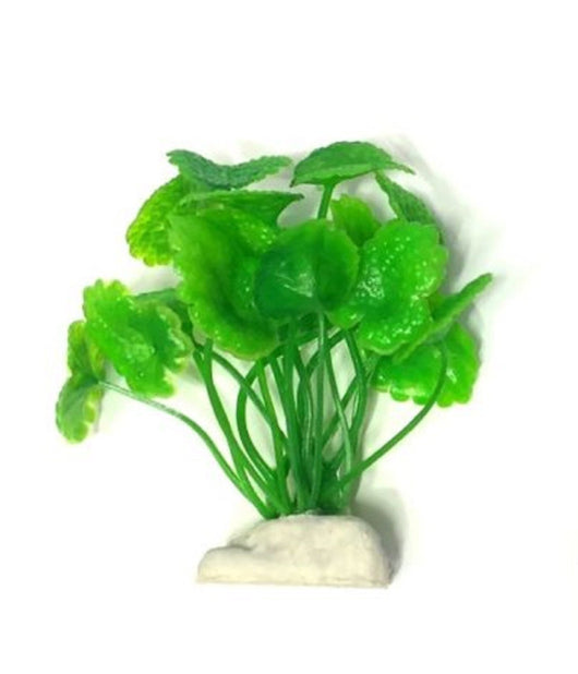 Pianta 7 Cm Piantina Artificiale Per Acquario Piante Finte Plastica Color Verde         