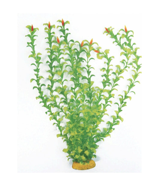 Pianta Acquatica Artificiale Per Acquari Classic Plant Hygrophila         