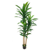 Pianta artificiale Dracena 180H 81 foglie con vaso