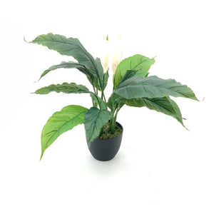 Pianta artificiale Spathiphylium foglie verdi con fiori bianchi e vaso – Altezza 60 cm