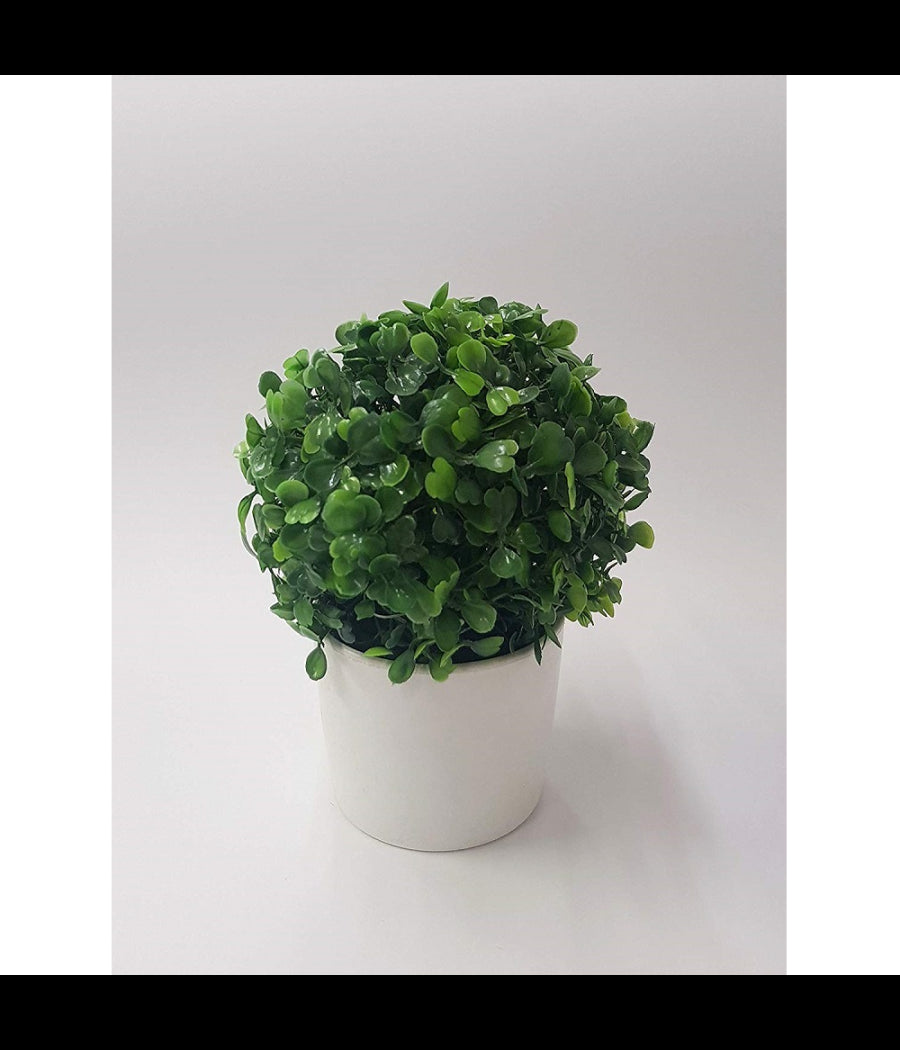 Pianta Cespuglio Vaso Plastica 18cm Artificiali Portafiori Piantina Decorazione Casa         