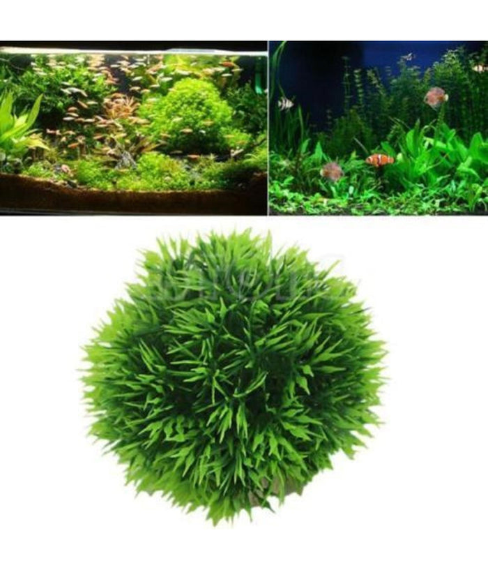 Pianta Piantina Artificiale Per Acquario Piante Finte Plastica Cespuglio Verde         