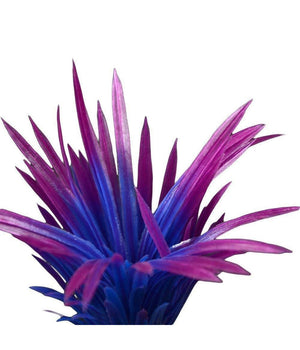 Pianta Piantina Artificiale Per Acquario Piante Finte Plastica Viola Blu Punta         