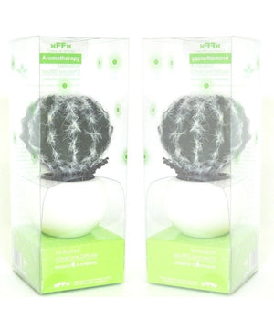 Piantina Diffusore Aromi Aromatherapy Ioni Negativi Deodora Rinfresca Cactus         