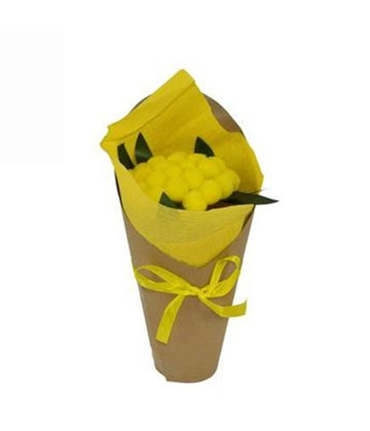 Piantina Mimosa Con Cartoncino E Fiocco Idea Regalo Fiori Ragazza Decorazione         