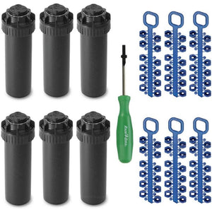 Bampi Piletta Per Venere E Marte