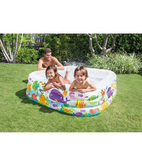 Piscina Acquario Quadrata 159x159x50 Cm Per Bambini 3+ Anni 340 Lt Estate 57471         